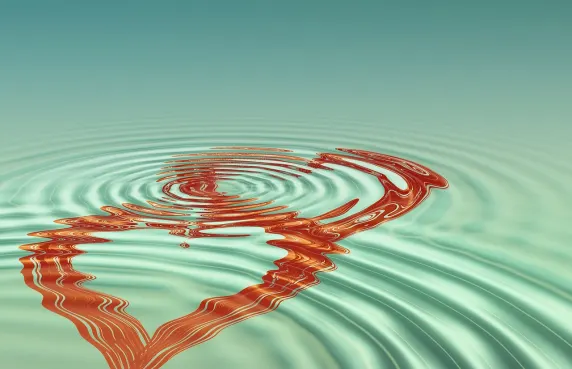 Casino Black Label Tugi